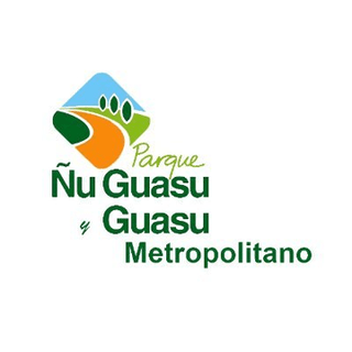 Ñu Guasu